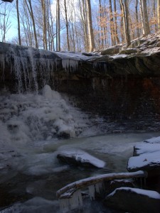 blue-hen-falls-with-allison-12-21-2008-2-07-20-pm2