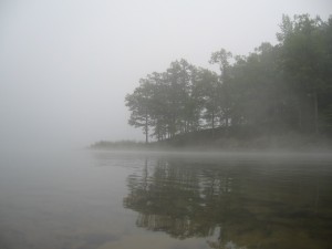 morning-fog-8-31-2008-12-59-57-pm