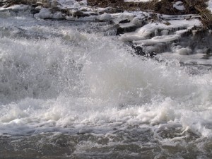 p2222905