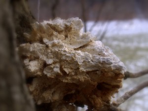 p2222920