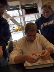 perch-dissecting-10-16-2008-3-06-57-pm