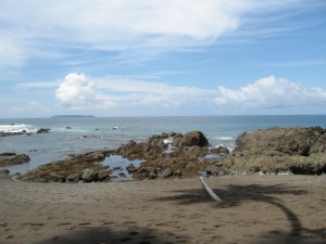 tide-pool-trip-1-10-2008-11-47-49-am