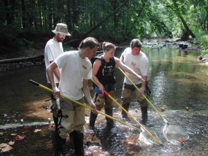 recapture-2-92005-14