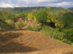 Rio Abuela