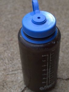 p4234443-1.jpg
