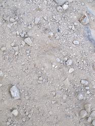 Ocelot (Manigordo) foot prints 4-27-2009 7-30-56 AM.jpg