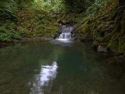 Swimming Hole 4-3-2009 10-18-38.jpg