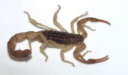 P4234441-1.jpg