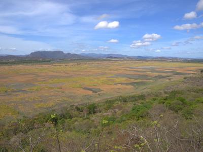 P4224394-1.jpg