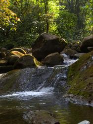 Swim in Rio San Lorencito at waterfall 3-29-2009 1-31-29.jpg