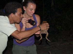 bufonidae-bufo-marinus-boa-and-daniella-04302009-222007