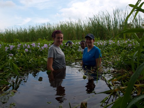 Amanda, Abbie, Justin and Stevland helping to collect eichhornia - 06.11.2009 - 08.36.04