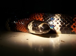 UNNAMED - 100_3961