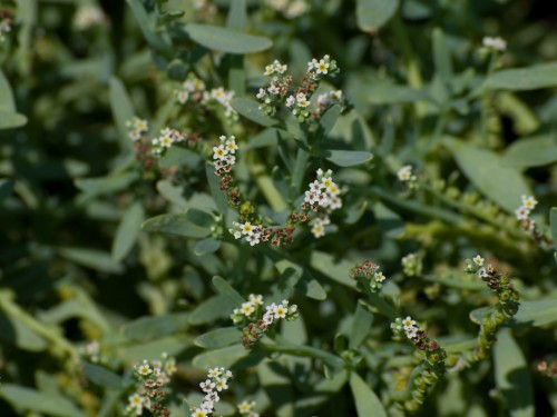 unnamed-p6027764