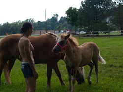 Horses - Coral - 07.25.2009 - 14.51.23