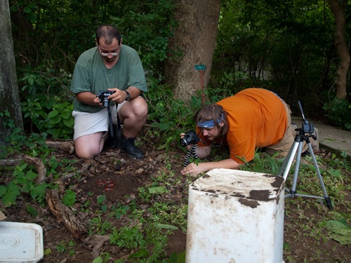 Mahmood and Vincent photographing Coral Snake - 07.11.2009 - 12.14.56