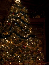 Christmas tree - 12.24.2009 - 20.44.35