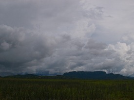 Rain in the Palo Verde Wetland - 06.21.2010 - 15.09.17