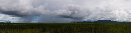 Rain in the Palo Verde Wetland - 06.21.2010 - 15.09.31_stitch 2