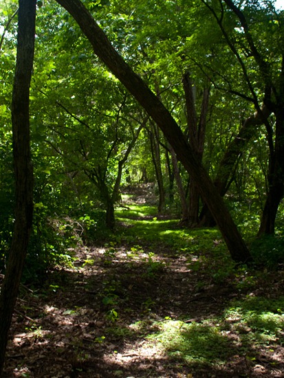 Trail to Bocana - 06.18.2010 - 11.10.26