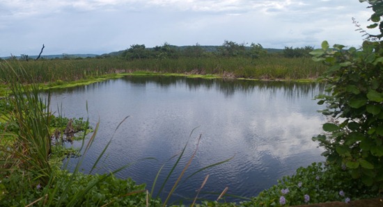 Full Catalina Sector Wetland - 07.14.2010 - 09.21.44_stitch