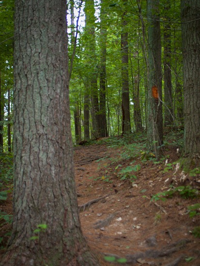 Camping at Zaleski State Forest - 09.04.2010 - 15.02.13