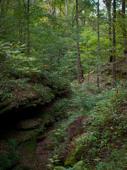Camping at Zaleski State Forest - 09.04.2010 - 15.38.06