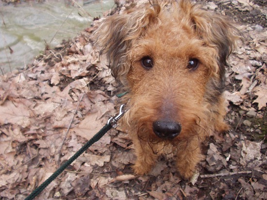 Cuyahoga Park - Brandywine Falls (26)