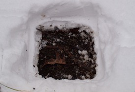 Peter Euclide's winter decomposition - 12.22.2010 - 13.37.05-1