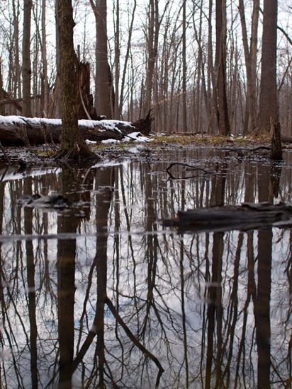 Vernal Pond with Jenn and Matt - 03.12.2011 - 13.21.21