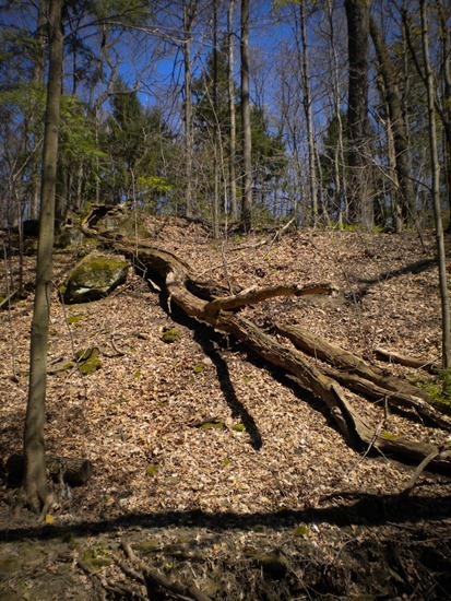 Bear's Den with Eva and Éva - 04.07.2012 - 13.21.22