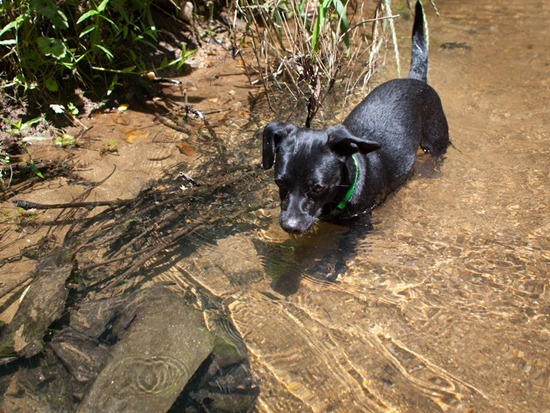 Cascade Springs with Amos - 05.19.2012 - 14.36.28-2