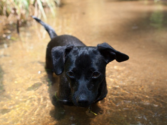 Cascade Springs with Amos - 05.19.2012 - 14.36.54