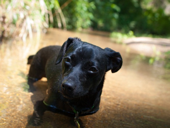 Cascade Springs with Amos - 05.19.2012 - 14.37.36