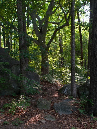 Cascade Springs with Amos - 05.27.2012 - 09.02.27