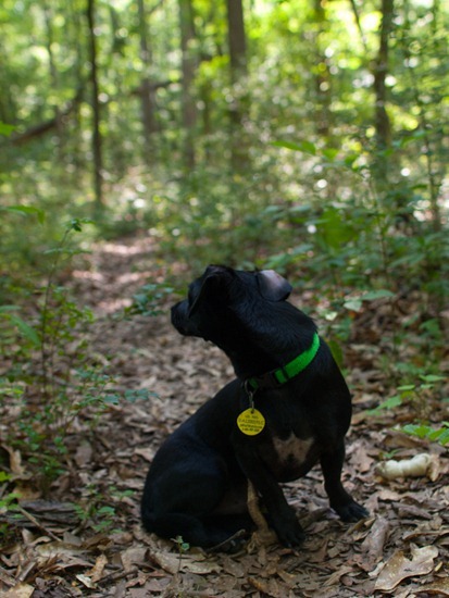 Cascade Springs with Amos - 05.27.2012 - 10.56.36