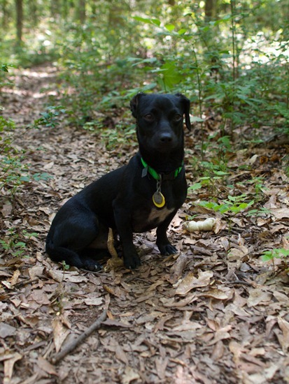 Cascade Springs with Amos - 05.27.2012 - 10.57.09