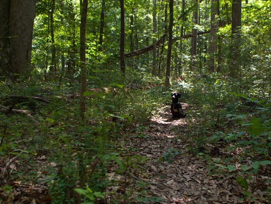 Cascade Springs with Amos - 05.27.2012 - 11.02.19