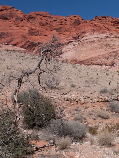 Red Rock Canyon Loop 1 - 05.03.2012 - 17.59.30