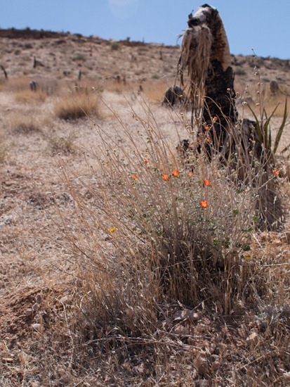 Red Rock Canyon Loop 1 - 05.03.2012 - 18.01.45