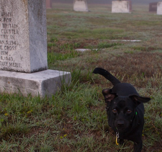 Westview Cemetery - 05.15.2012 - 07.49.06