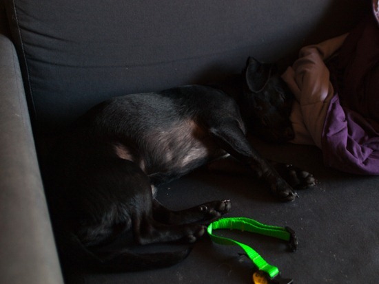 Amos sleeping - 05.26.2012 - 13.46.45