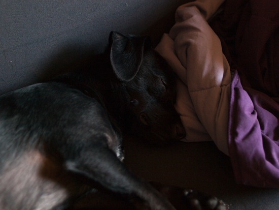 Amos sleeping - 05.26.2012 - 13.46.51