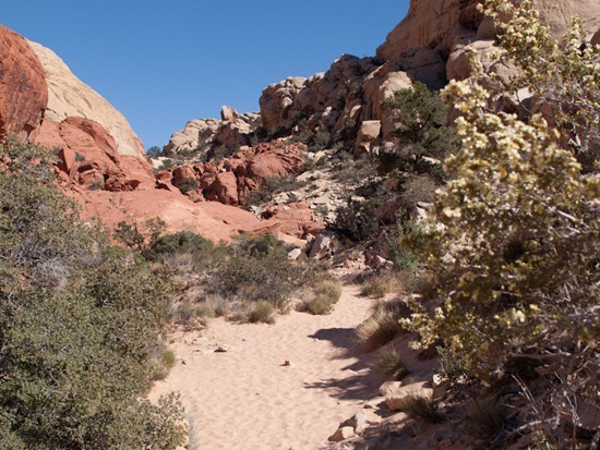 Calico tanks trail - 05.03.2012 - 19.07.58