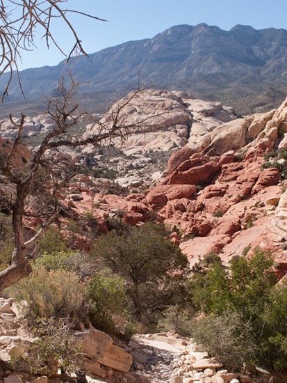 Calico tanks trail - 05.03.2012 - 19.19.56