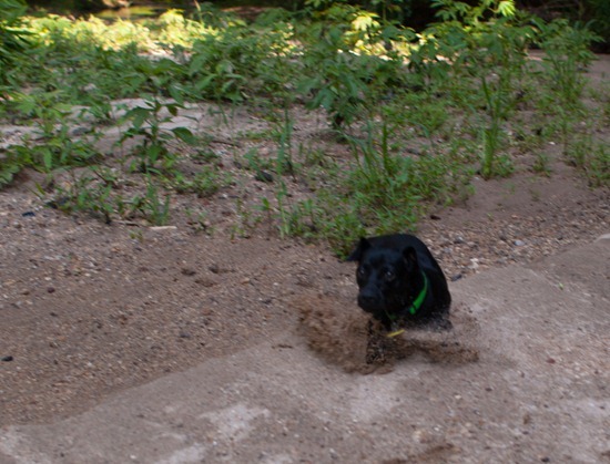 Cascade Springs with Amos - 05.27.2012 - 10.41.37-3