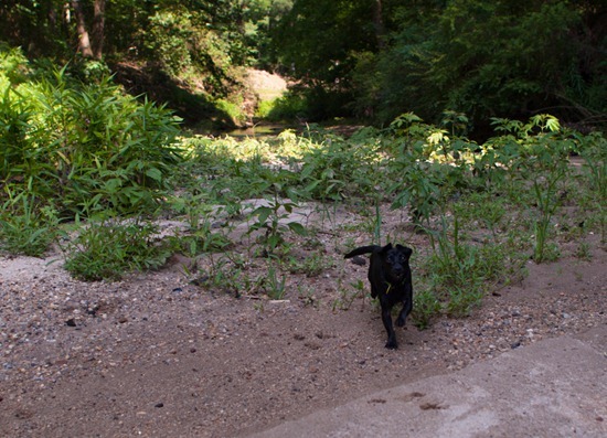 Cascade Springs with Amos - 05.27.2012 - 10.41.37