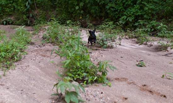 Cascade Springs with Amos - 05.27.2012 - 10.41.48-3