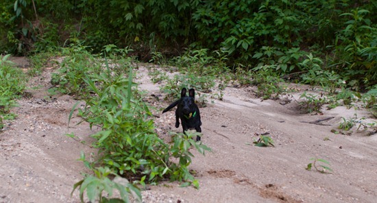 Cascade Springs with Amos - 05.27.2012 - 10.41.48-4
