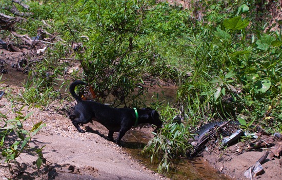 Cascade Springs with Amos - 05.27.2012 - 10.42.04